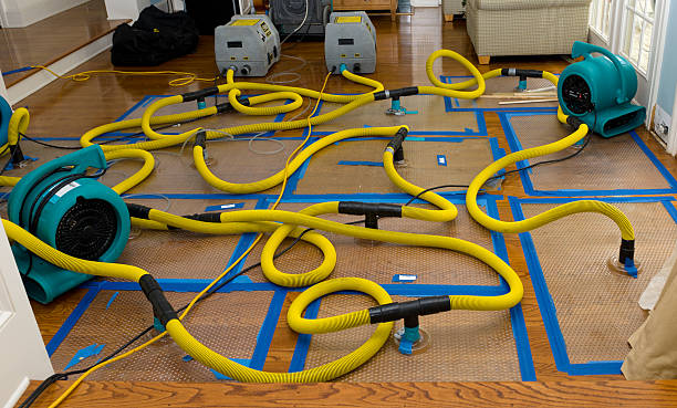 Professional Crawl Space Water Removal technician working in Filer City, MI